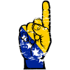 Bosnia flag number 1 used