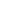 Cat Geometric Lines Design