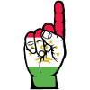 Tajikistan Flag Number 1