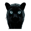 Glowing Eyes