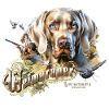 Weimaraner