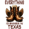 Everything is Bigger in Texas