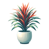 Dracaena plant in pot