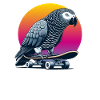 African grey parrot on skateboard
