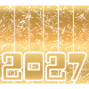 Home 2027