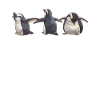 Penguin Yoga Kawaii Penguin Cute