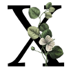 Letter X Green Botany