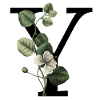 Green Botanical Y Letter