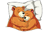 Official Bear Sleep Shirt