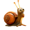 Snail Vineyard Snail Shell Snails