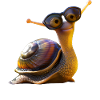 Snail Vineyard Snail Shell Snails