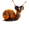 Snail Vineyard Snail Shell Snails