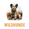 Wild Dogs Wild Dog