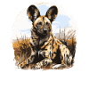 Wild Dogs Wild Dog