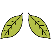 two leaves leaf green icon