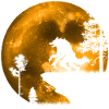 Werewolf in the Moonlight