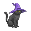 Cat Halloween Witch