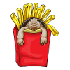 Frites de tortue