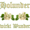 holunder wirkt wunder