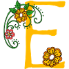 Fleur 30 E