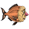 PAYASO FISH