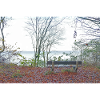 Wald 1