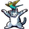 Cute Cat Budgie Friends Pets