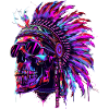 Indian Skull Indian Native American