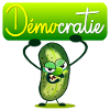 Démocratie Cornichons, France