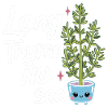 Funny Thyme Herb Garden