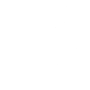 Inspector