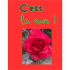 C'est la rose!