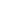 Trèfle de la Saint-Patrick d’Irlande