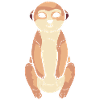 Suricate