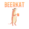 Meerkat