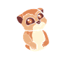 Meerkat