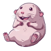 Naked Mole