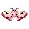 Adorable Pink Kawaii Moth