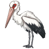 Fière cigogne blanche en pose