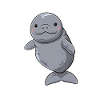 Cute manatee with big eyes