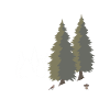 Jagdschein Bestanden
