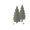 Jungjäger