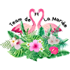 Tropical Flamingo Bridal Team