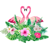 Tropical Flamingo Bridal Team