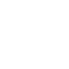 Pelicans Bird Birds Pelecanus