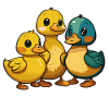 Trois canetons