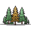 Forest Landscape Trees Nature