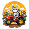 Cat farmers flower sun