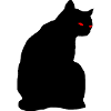 Black cat