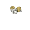 The Cepefather